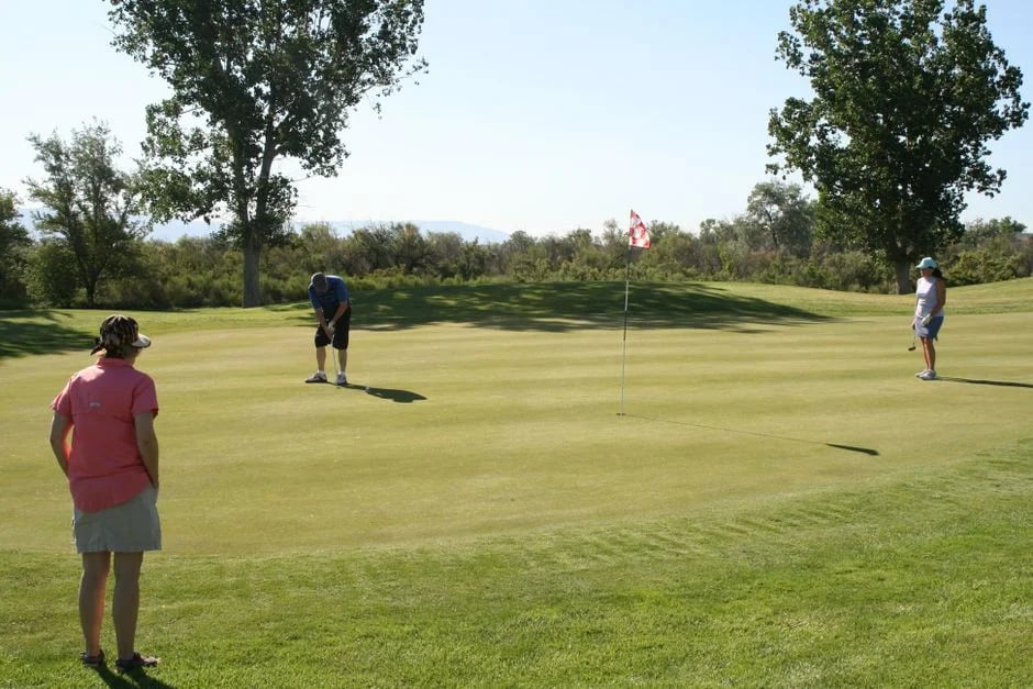 Image describing How to Master Village Green Golf in 2026 7 Proven Tips?
