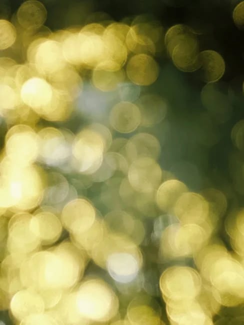 Image describing Top 7 Axel Arigato Deals You Need Now!