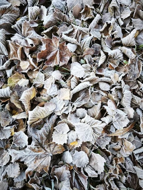 Image describing Why Trezor is the Best Wallet Upgrade You Need in 2025!