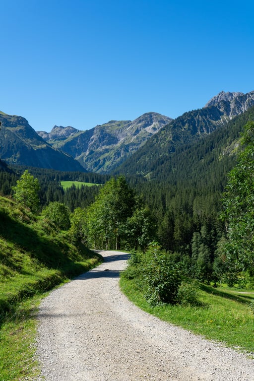 snowy unpaved mountain road