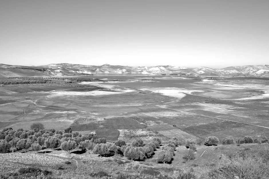 Image describing How to Master Metadata for SEO Success by 2025