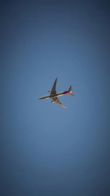 Image describing How to Find Best Cheapo Air Deals Now 7 Proven Tips (2026)