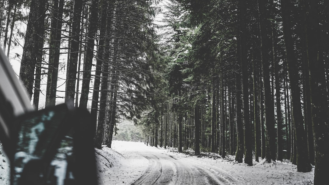 All-Season vs. All-Weather Tires: The Winter Difference That Matters