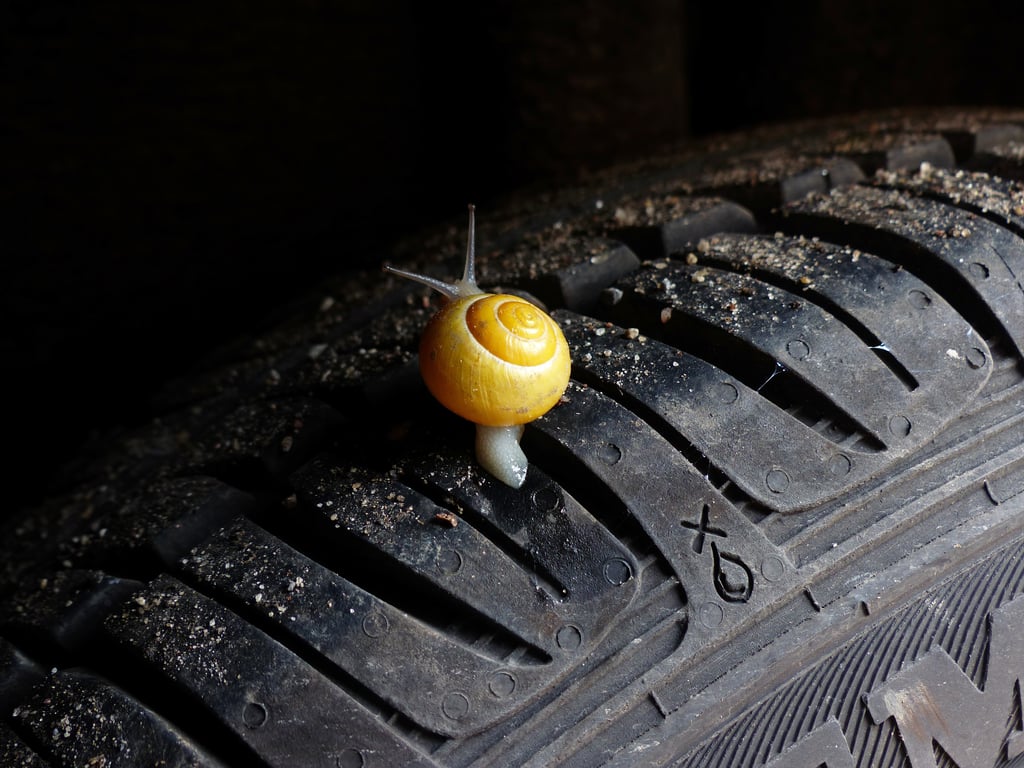 tire shop