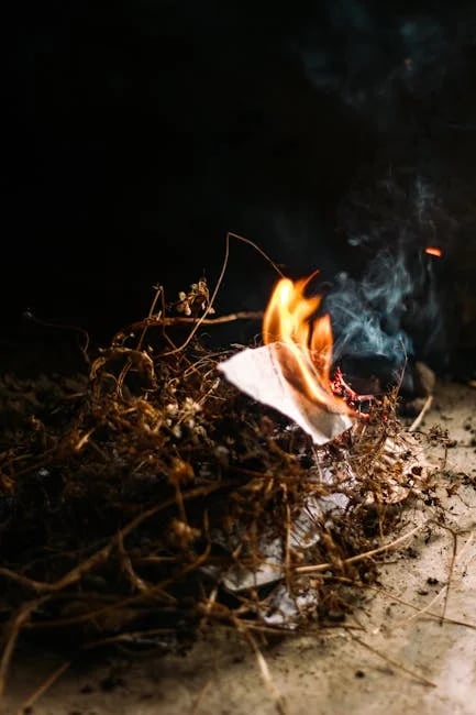 Image describing Unlock the Best Fuel Rewards of 2025 Now!