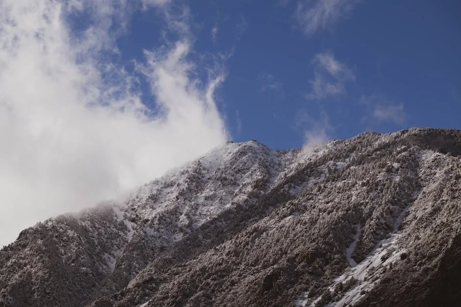 Image describing How Clarity Will Transform Your Life in 2025!