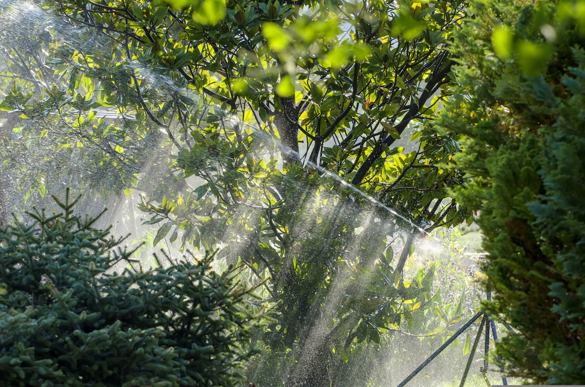 lawn sprinkler system installation
