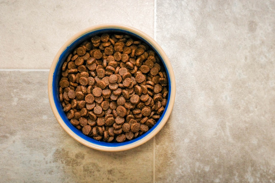 Fresh Dog Food Delivery: How to Compare Plans, Costs, and Ingredients