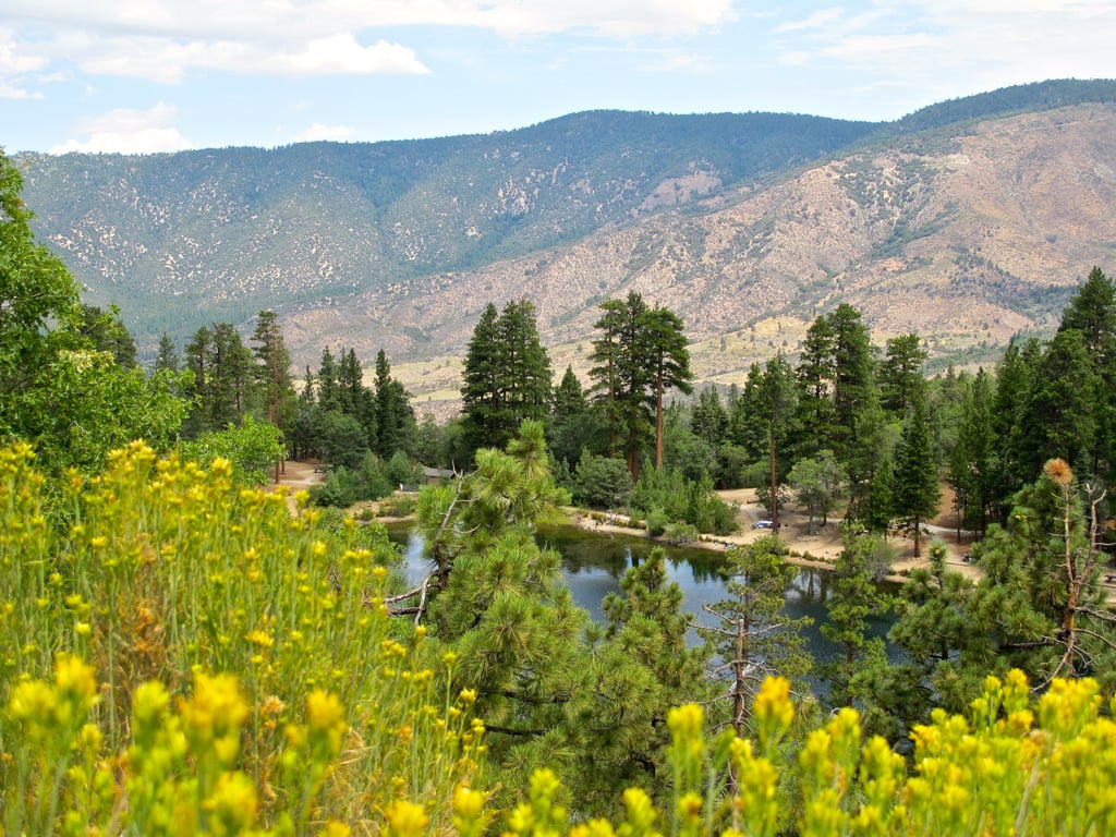 dispersed camping national forest