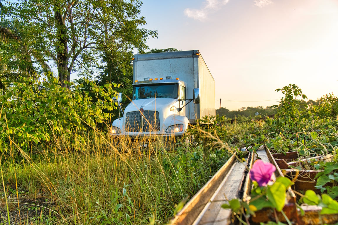 Kenworth W900 semi truck