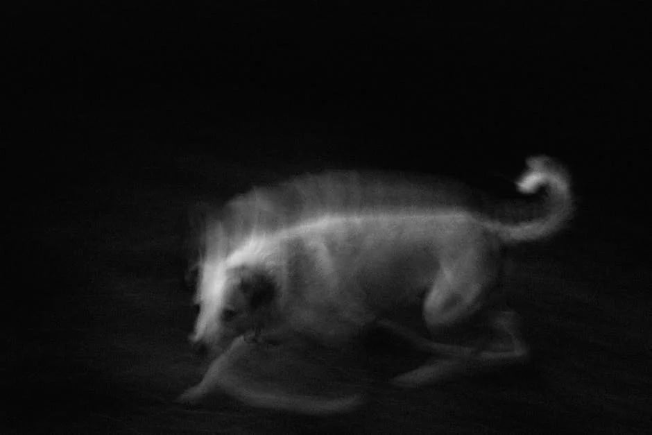 Image describing Chase Freedom vs Sapphire Best Pick Now in 2026?