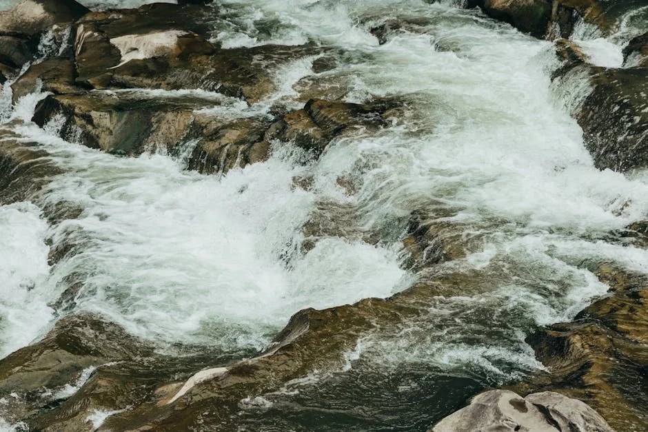 Image describing Quicksilver Showdown Which Card is Best for 2025?