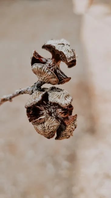 Image describing Best U-Haul Pods in 2026? 7 Proven Fast Tips Now