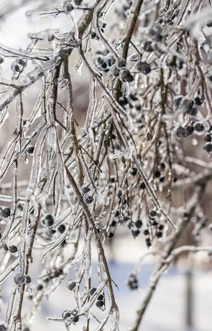 Image describing How to Get Sapphire Preferred in 2026 7 Proven Tips