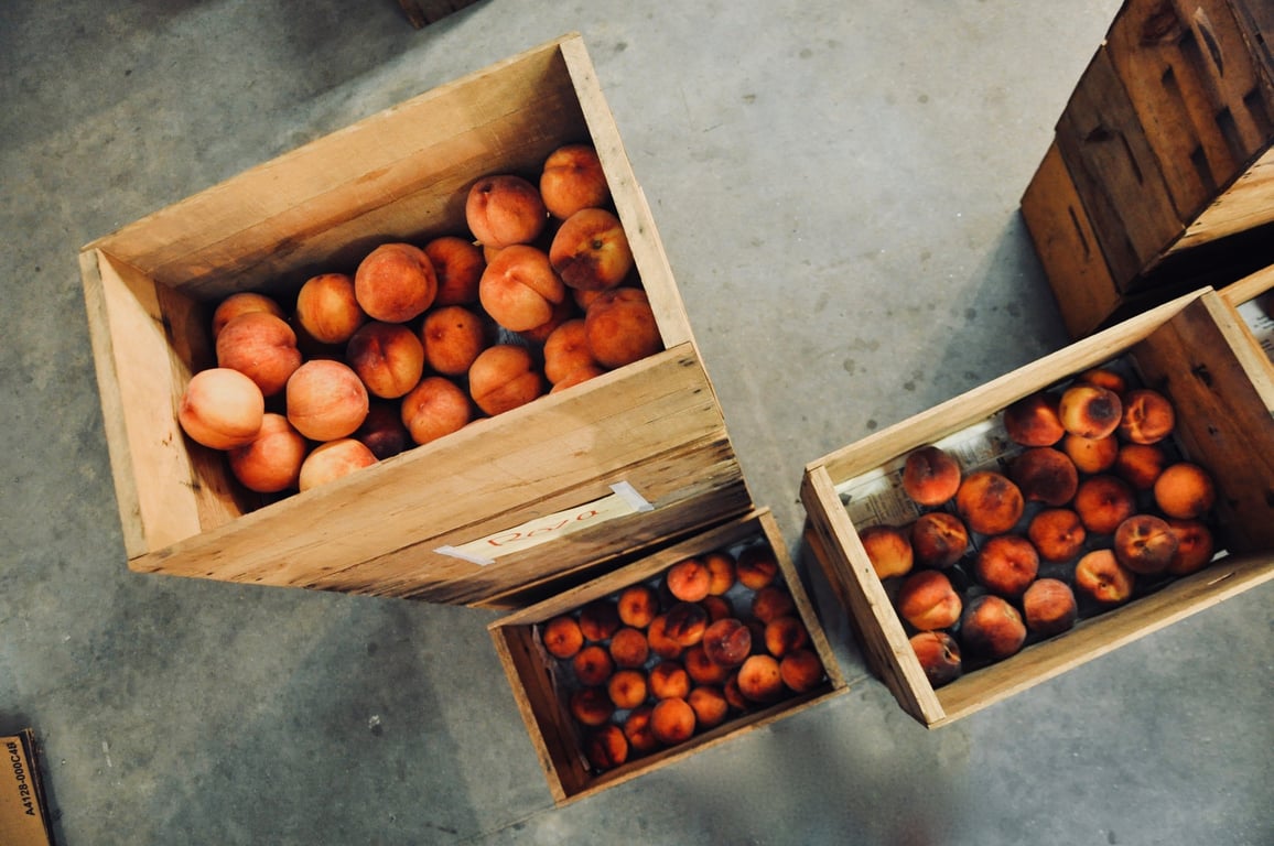 organized garage storage