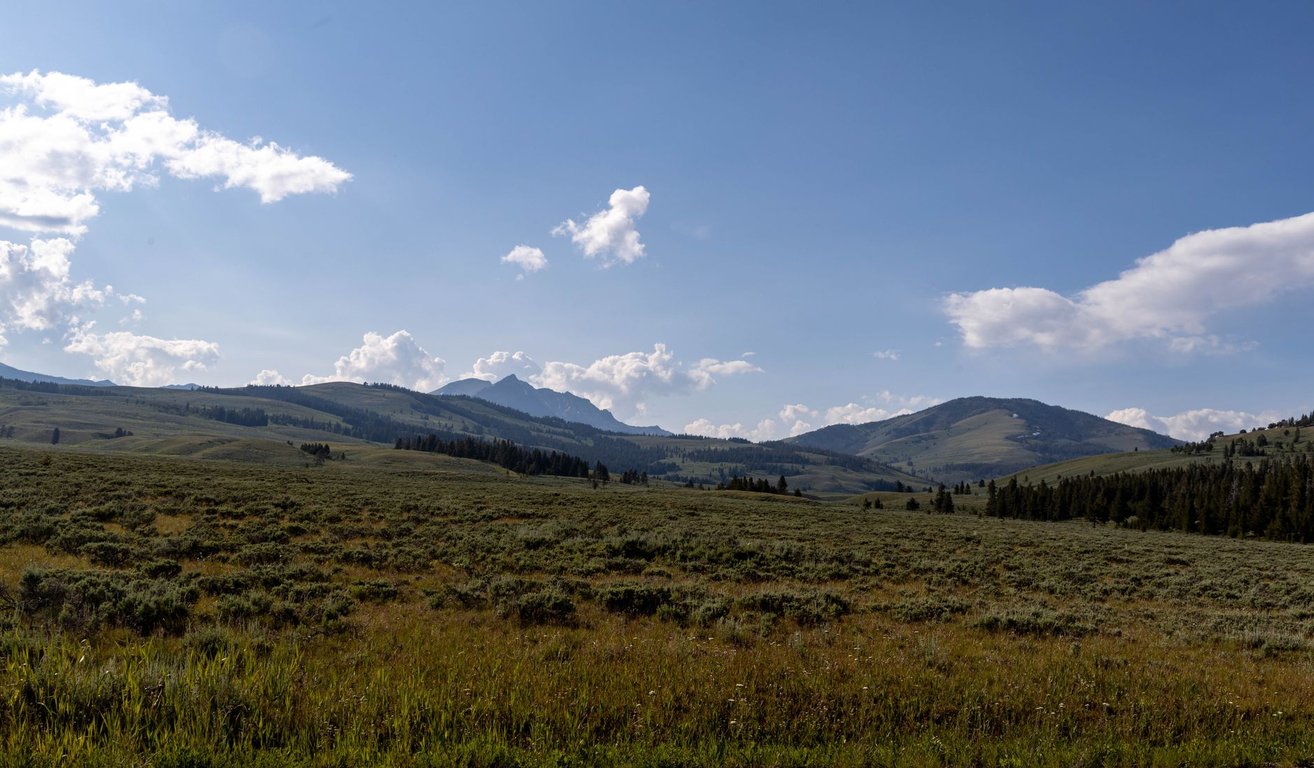 Under Canvas Yellowstone: What to Know Before Booking a Glamping Stay