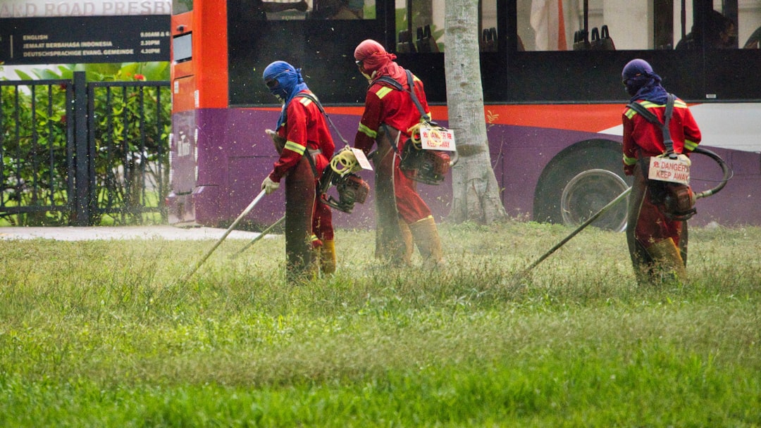 Weed Control Services Near Me: How to Choose the Right Lawn Care Provider