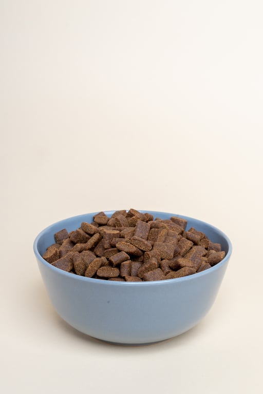 salmon dog food kibble