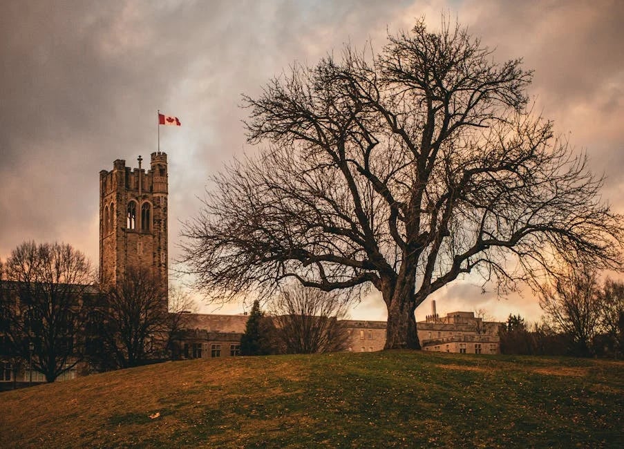 Image describing Top 10 Best Colleges in Canada 2026 Apply Now?