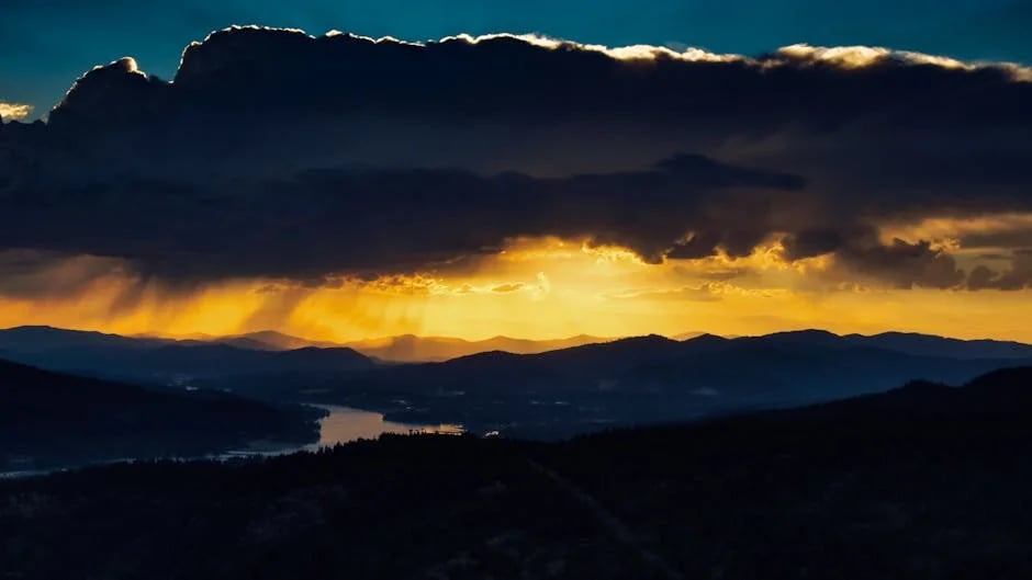 Image describing 12 Best Fully Funded Online Masters Programs in 2026