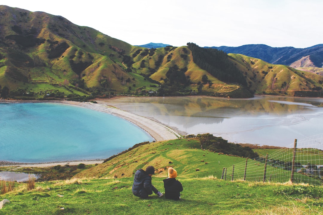 Last Minute Cruises: A Smart Way to See New Zealand’s Coast