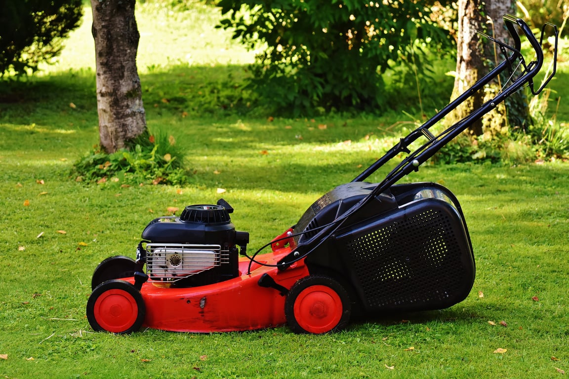 lawn mowing service