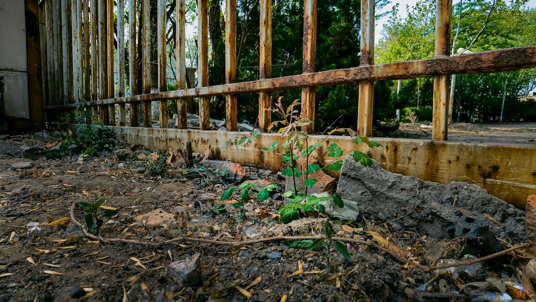 House Foundation Repair Cost: What Homeowners Should Budget For