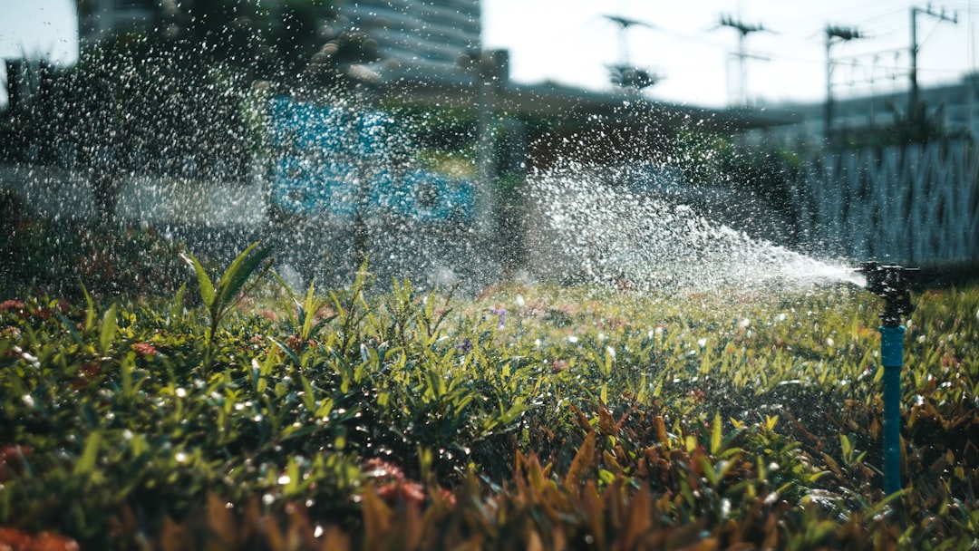 Landscape Irrigation Near Me: How to Choose the Right Local Installer