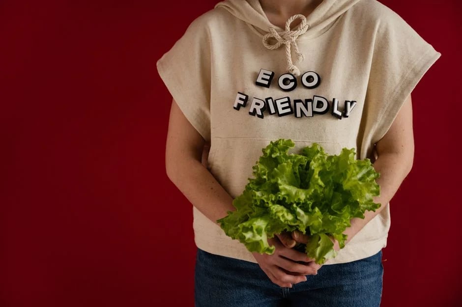Image describing Best Eco-Friendly Clothing Now 7 Proven Picks for 2026