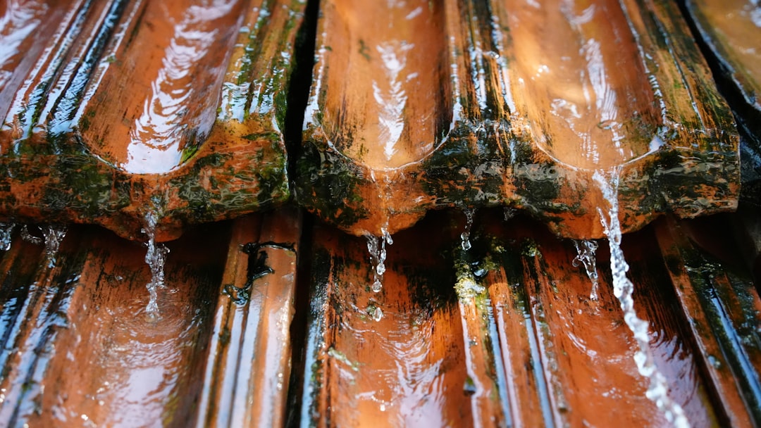 Emergency Roof Leak Repair: What to Do First and When to Call a Pro