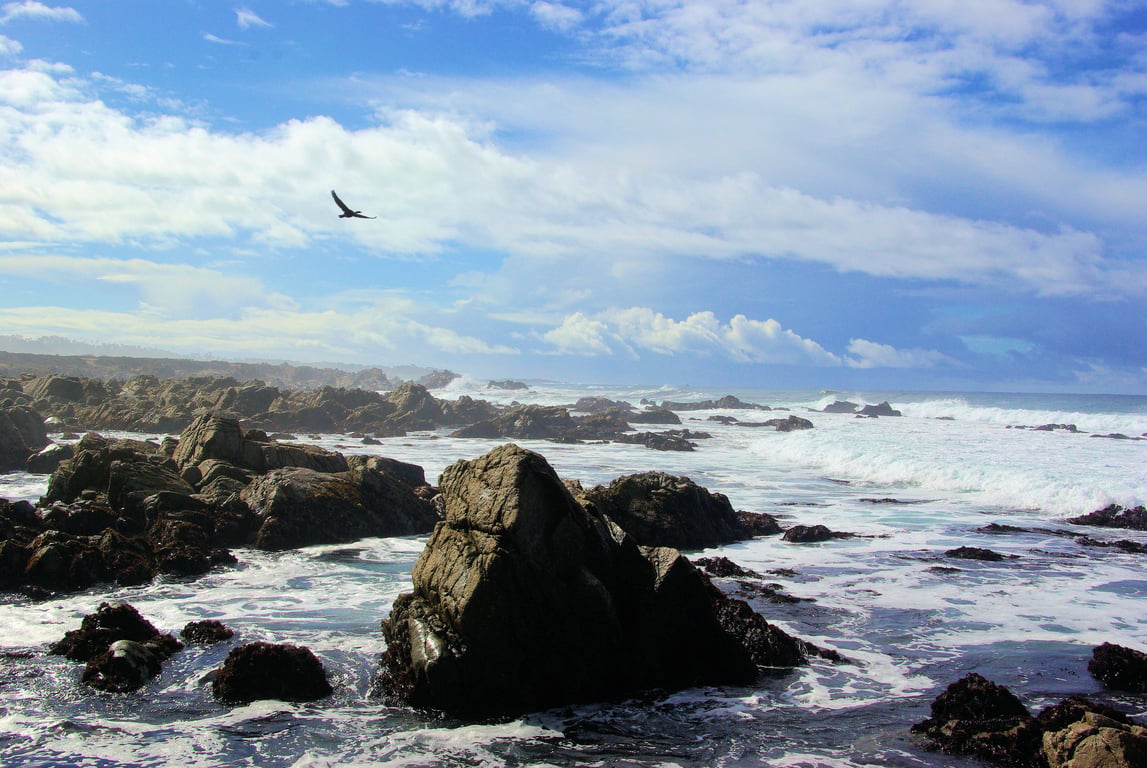 17-Mile Drive coastline