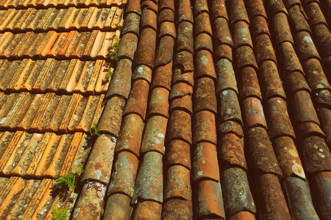 roofing contractor inspecting roof