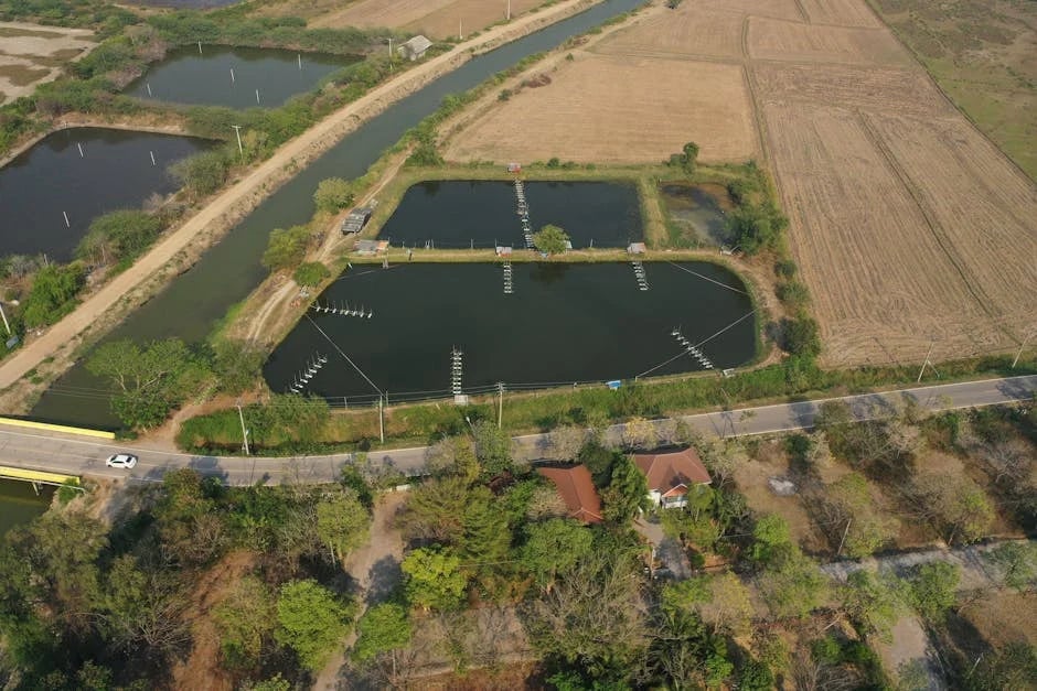 Image describing How to Create the Best Orchard Home in 2025