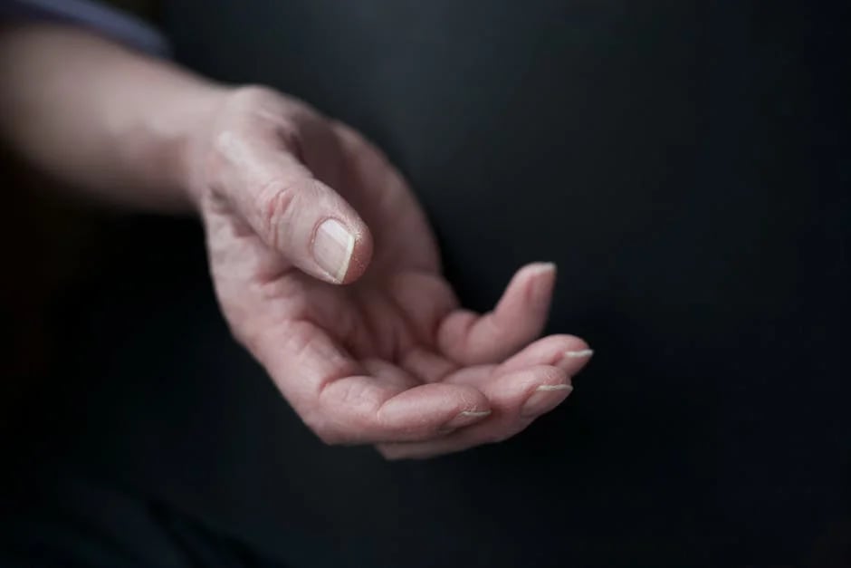 Image describing Top 5 Life Insurances for Seniors 75+ Now—No Exams!