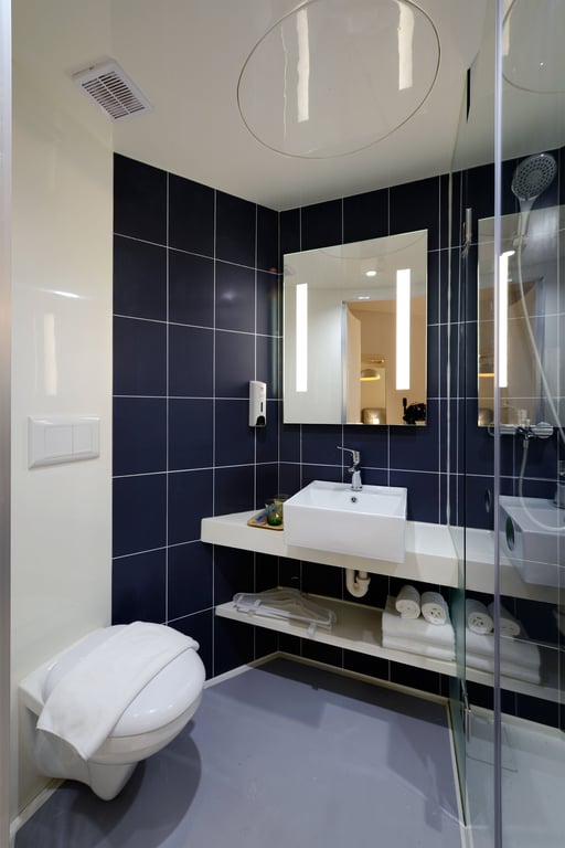 bathroom renovation