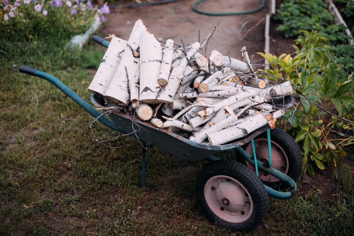 garden drainage landscaping