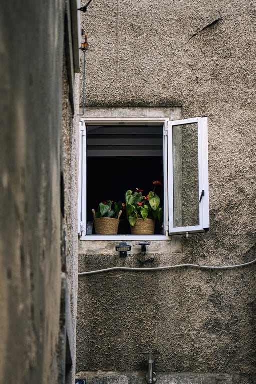 home window replacement installation