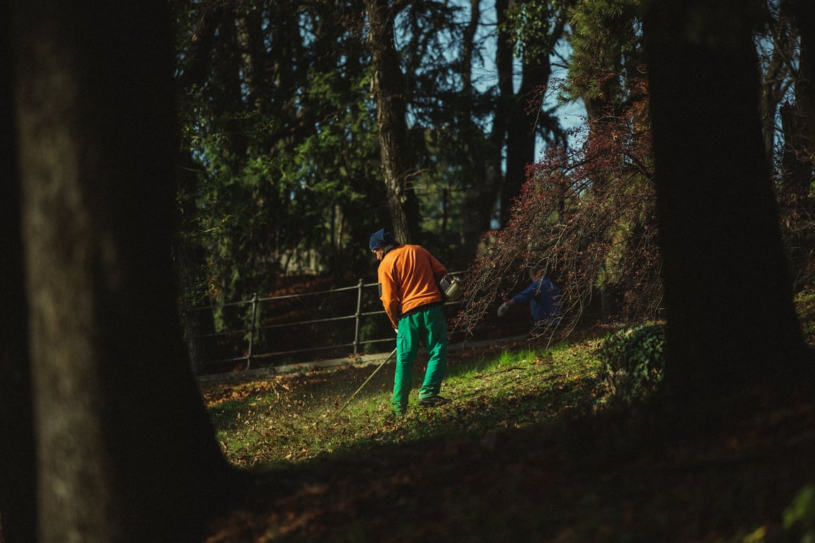Garden Maintenance Near Me: How to Choose a Reliable Local Service