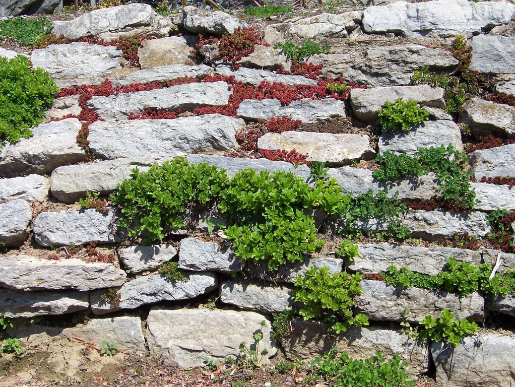 retaining wall construction