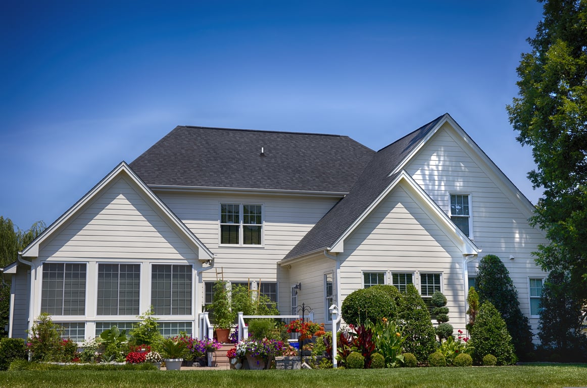 suburban backyard landscaping