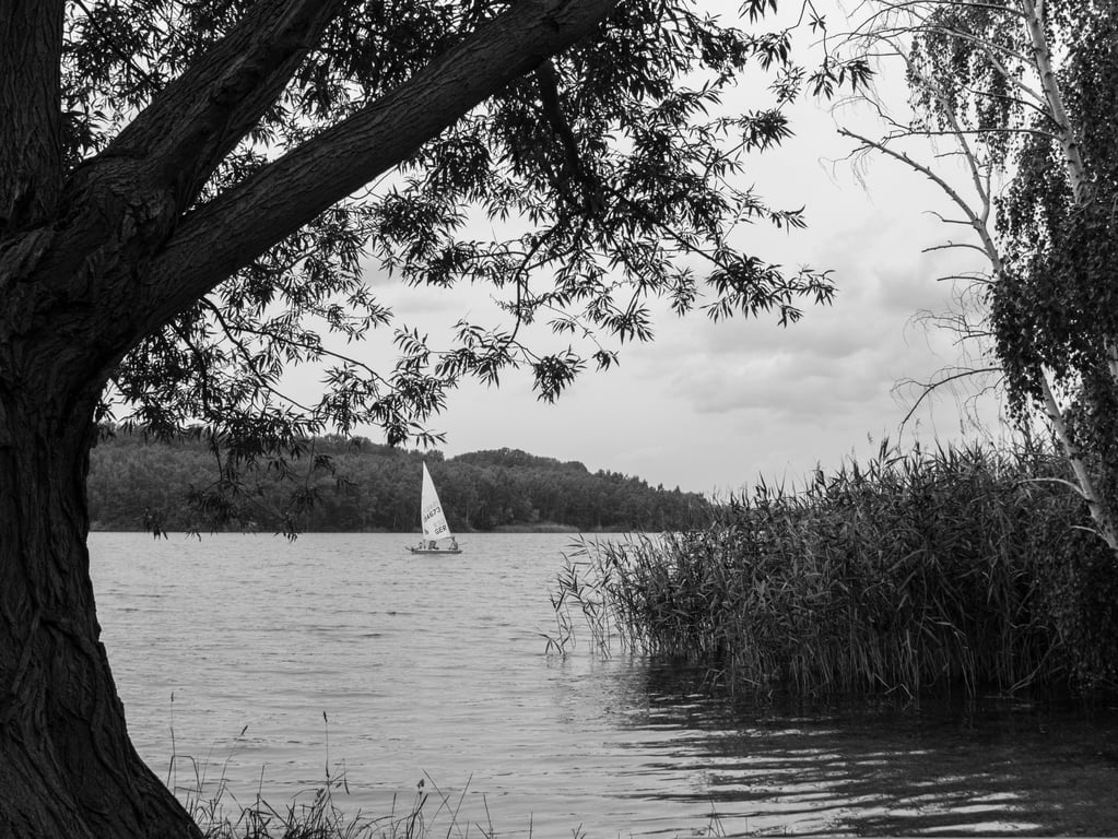 recreational boat on lake