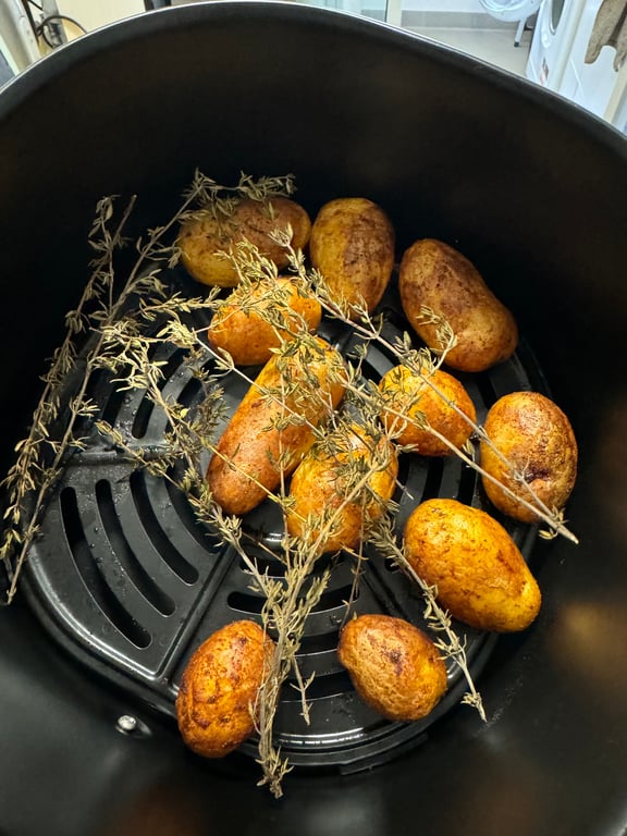 donut food trailer fryer