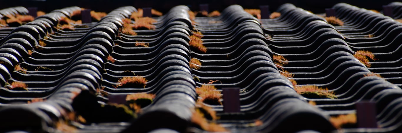 roofing contractor inspecting roof