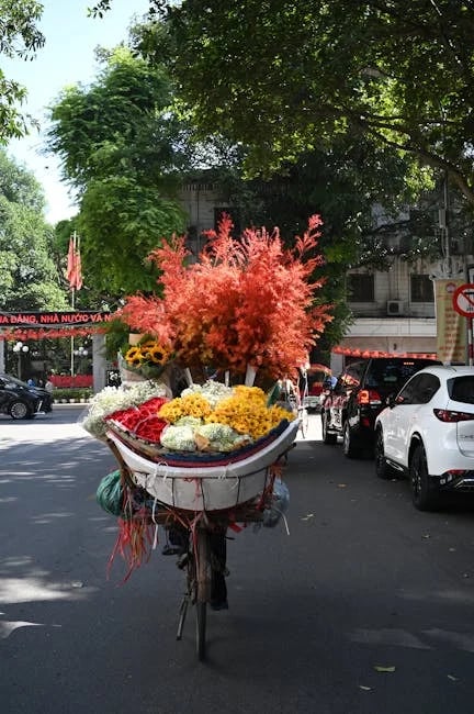 Image describing Why ImmutableX is the Best Market to Watch in 2025!