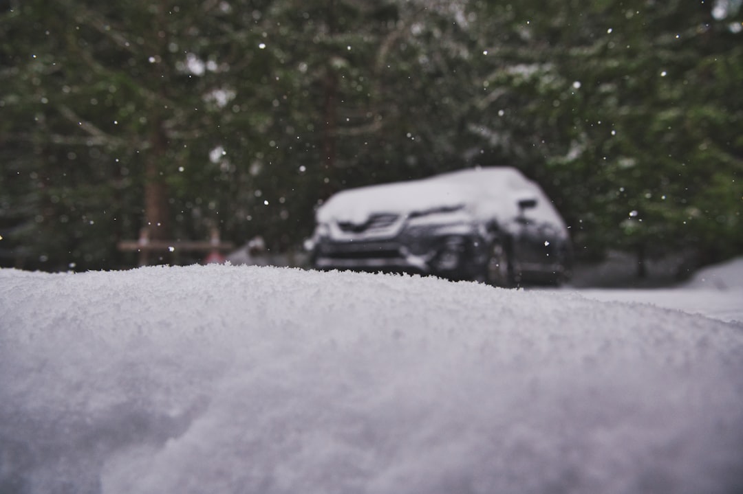 All-Season vs. All-Weather Tires: The Difference That Matters in Winter