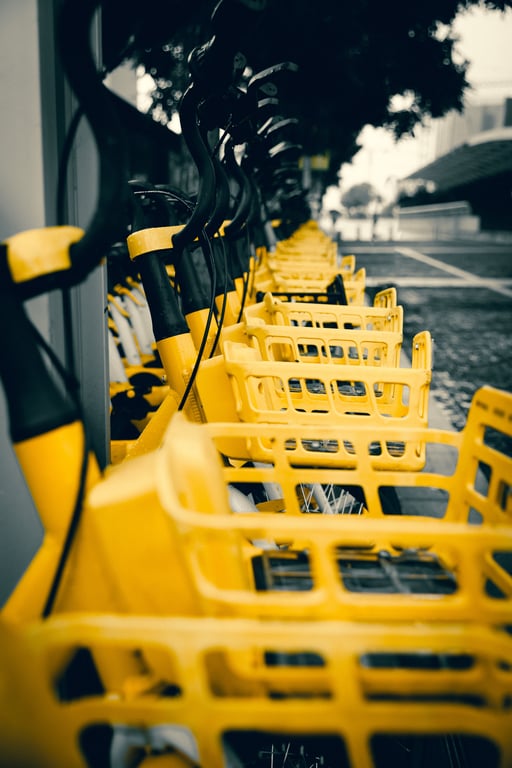 warehouse cycle counting