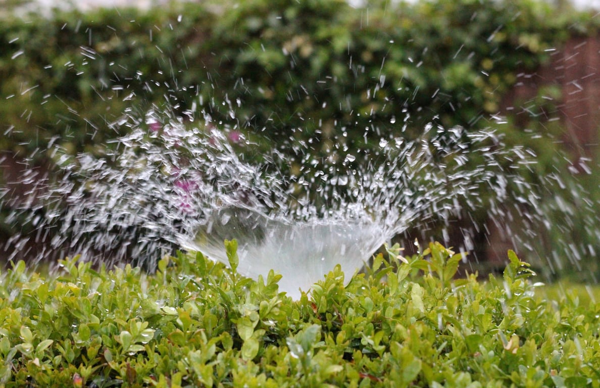 lawn sprinkler irrigation system