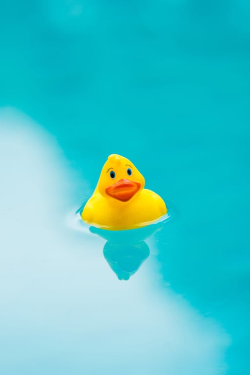 backyard swimming pool maintenance