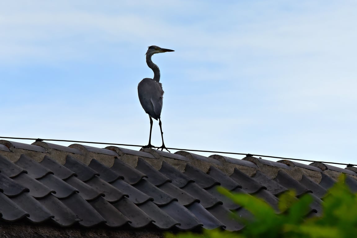 solar panels on standing seam metal roof