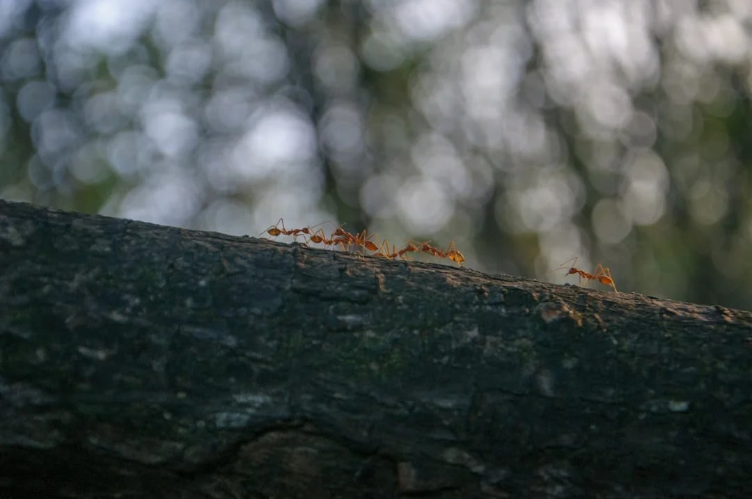 Image describing How to Master API Abroad Top Tips for 2025 Success